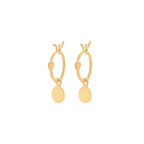 Yellow Gold Vermeil Disc Drop Earrings image 0