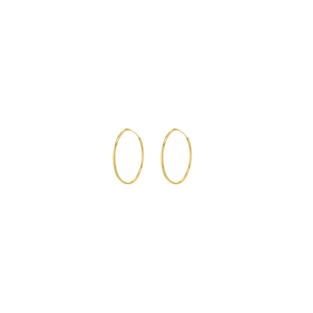Yellow Gold Vermeil 10mm Classic Hoop Earrings image 1